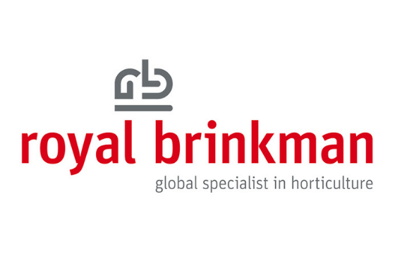 Comunicado Royal Brinkman España frente a Covid-19
