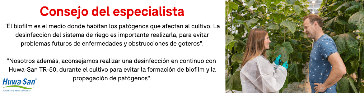 consejo del especialista 