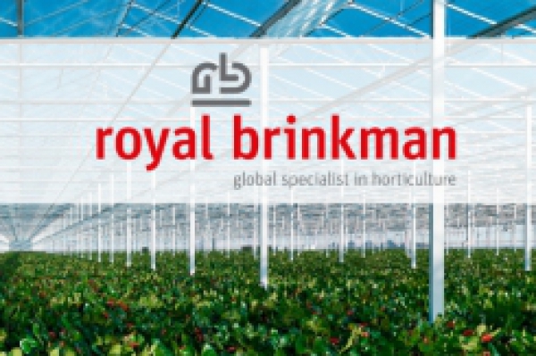 Hágase cliente de Royal Brinkman